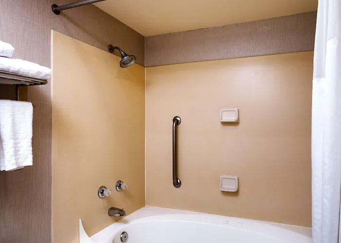 Western Downtown Hotel 3*